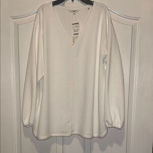 Max Studio Ivory Textured Knit Top